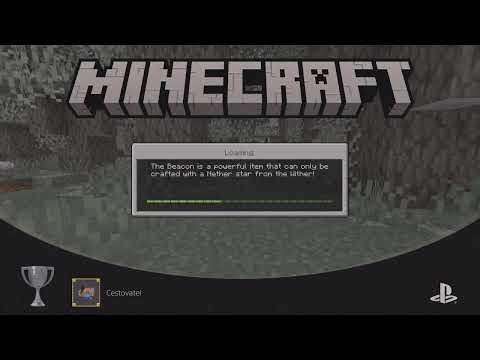 Minecraft_20250107175006