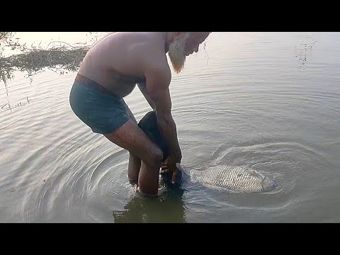 Unbelievable Real Cast Net Fishing Video | Catching Lot Of Carp Big Fish | Net Fishing