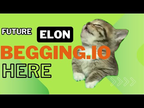 Future Elon on the Begging.io