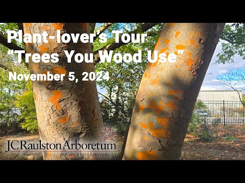 Plant-lover's Tour - "Trees You Wood Use"