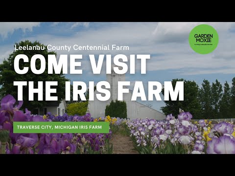 Garden Tour - 💐 Come Visit the Iris Farm  in Traverse City Michigan 💐