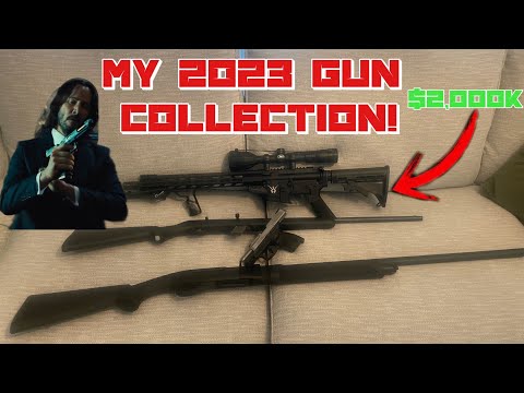 2023 GUN COLLECTION AT 19!