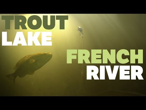 TROUT LAKE FISHING (FRENCH RIVER) - UNDERWATER STRIKES VIDEO