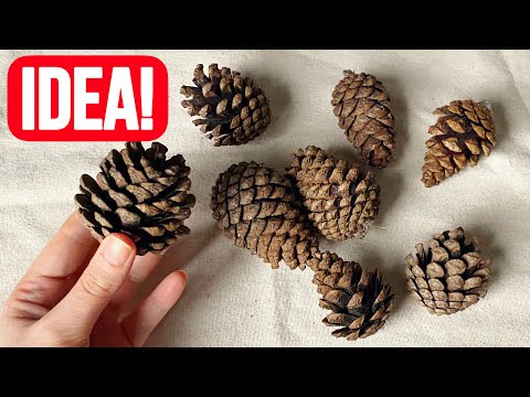 You Should Watch This Awesome Idea That I Use Pine Cones!