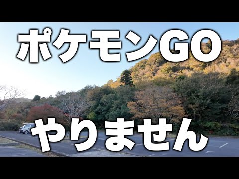 ポケモンGO、やりません