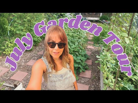 July 2024 Garden Tour | Heat Tolerant Plants and Summer Blooms | Kathryn in Christ