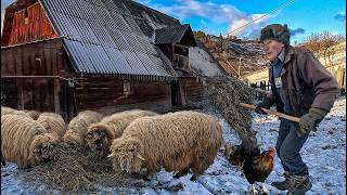 How Romanians live in the Mountains these days?