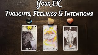 Your EX 💕 Their Thoughts, Feelings & Intentions 💕🔥 Pick A Card Love Reading