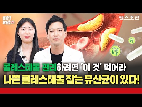 콜레스테롤 관리 안하면 후회합니다! 콜레스테롤 잡는 유산균의 정체는?