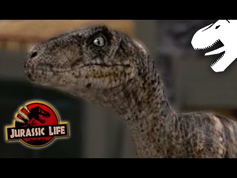 What is Jurassic Life?