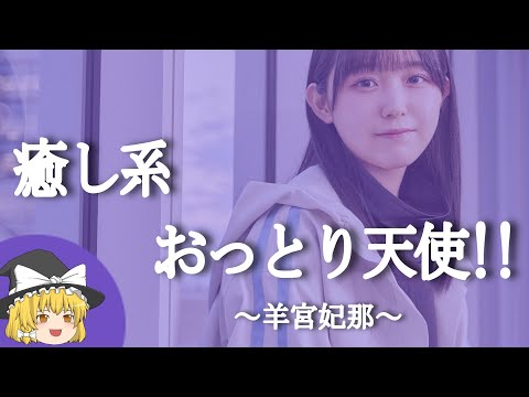 【羊宮妃那ヒストリー】すぐに詳しくなる動画