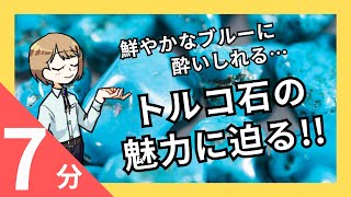 【ターコイズ】最高品質のカラーは？実はほとんど●●処理されている！|未来宝飾マガジン