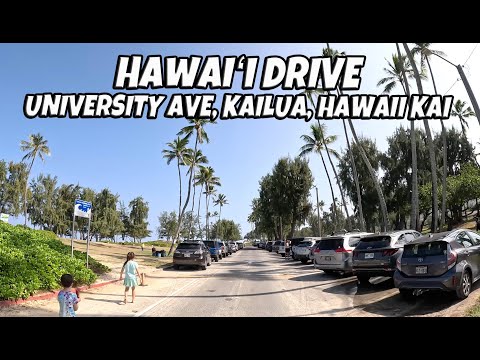 Hawaii Drive University Ave to Kailua to Hawaii Kai to do Recycling Natural Sounds December 26, 2024