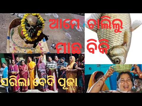 ମାଛ ବିକ୍ରିକରି କେତେ ଟଙ୍କା ପାଇଲୁ ଆମେ #odiarituals #masti #funnymoments #viralvideo