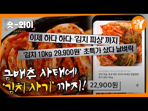 [Y 708회 요약] '김포족' 노린 김치 사기꾼 | 숏와이