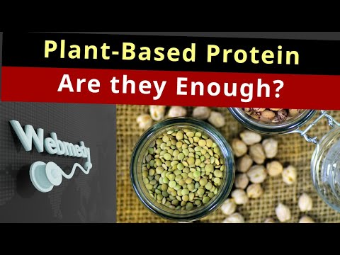 Are Plant-Based Protein Enough? | Comparing Plant-based and Animal Proteins