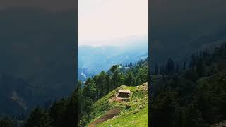 On Top Of #ManshiTop #sharanforest #kpk #beauty #2024