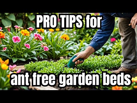 Say GOODBYE to ANTS in Your Garden Beds with These Pro Tips