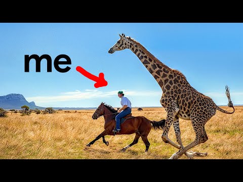 I Tried Africa’s Most Dangerous Horse Ride