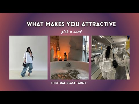 what makes you attractive (currently) | pick a card