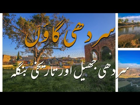 Sardhi Village | Kallar Kahar | Chakwal | Sardhi Kalar Kahar