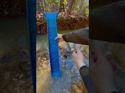 Dream Mat Adventure Sluice box! It Catches Gold! Gold Prospecting!