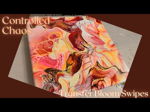 #210 Controlled Chaos Transfer Bloom Swipes | Acrylic Pour Painting | Abstract | Fluid Painting