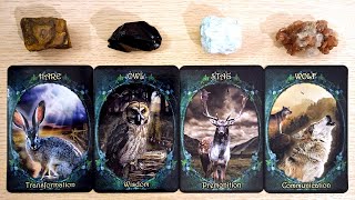 🔮🌟THEIR NEXT MOVE🪄🌟INTENTIONS, FUTURE.  PICK A CARD Timeless Love Tarot