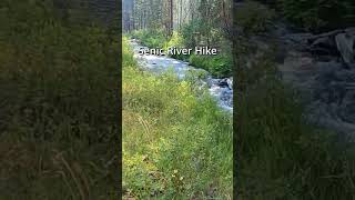 Riverside Serenity - Scenic Hike #adventure #hiking #riverside #scenic  #scenichike