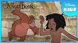 🐾  Mowgli and King Louie Dance! | Jungle Book | Disney Kids