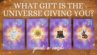 🎁🔮✨ What Gift is the Universe Giving You?! 🌠✨ | PICK A CARD Timeless Tarot Reading