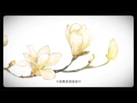 ❖【泥鳅翻唱】 Begonia Pear Decoct Snow ( 棠梨煎雪 ) - 泥鳅Niko 「版本2」