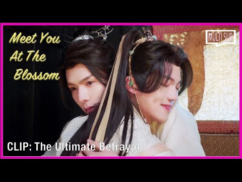 ENG SUB MULTI [Clip] The Ultimate Betrayal | Meet You at the Blossom | EP 6