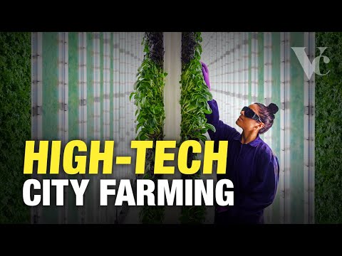 Why the Future of Farming is in Cities - The Big Money in Vertical Farming