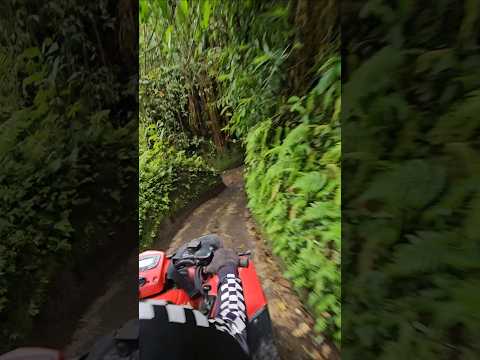 Atv 운전 못해서 직원이 다해주심.. atv in bali