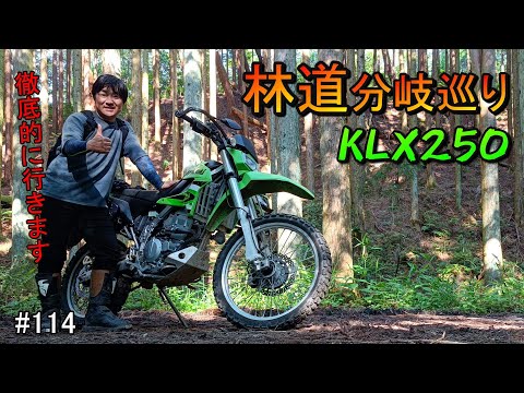 【KLX250 林道ツーリング】林道分岐巡り