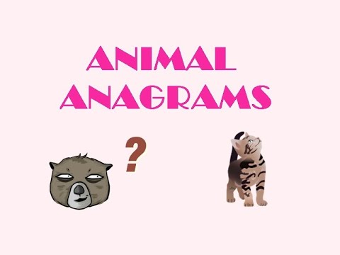 Animal Anagrams | Easy game