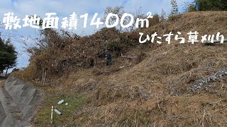 ひたすら草刈り…。【田舎暮らし】