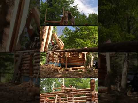 Scribing Logs and Lifting Them into Place #shorts