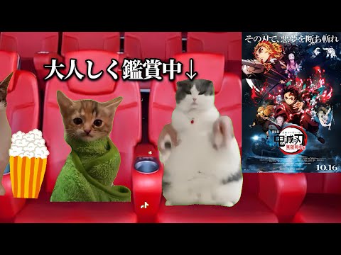 鬼滅の映画見にきた人の日常【猫ミーム】【猫マニ】