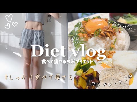 [Diet vlog] Eat plenty of rice and lose weight🍚3-day meal record🍽️Rice diet/what I eat in 3 days✨