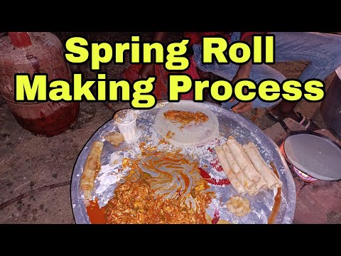 Spring Rolls Recipe | Spring roll making process | Spring roll