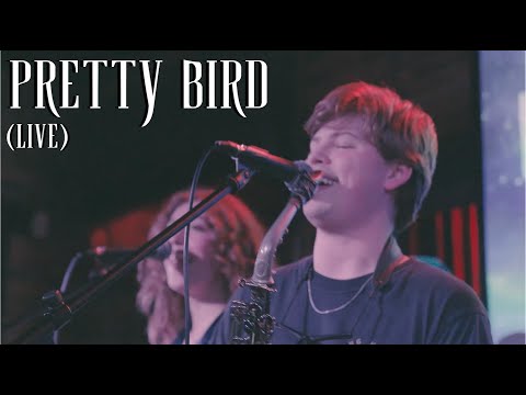 Pretty Bird (Live In Nashville) - Moga Family Band