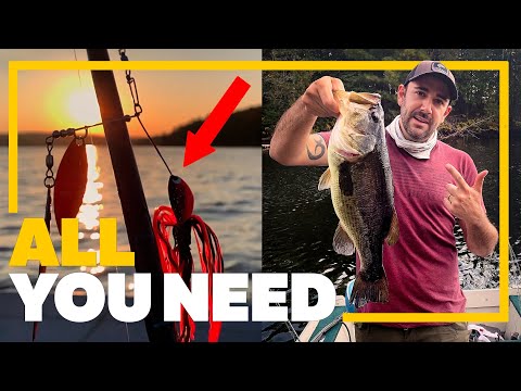 Fishing for Fall Bass and Pike Using Spinnerbaits - Baptiste Lake