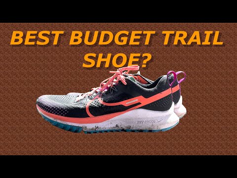 Best BUDGET Trail Shoe? Pegasus Trail 4 Review