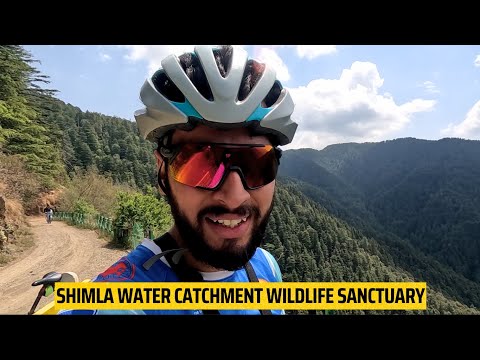 Shimla Water Catchment Wildlife Sanctuary | MTB Shimla