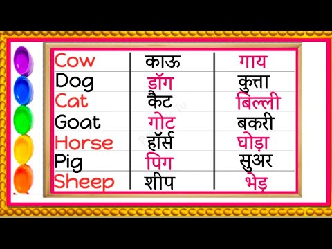 pet animals in english and hindi | domestic animals | पालतू जानवरों के नाम | 20 pet animals name १