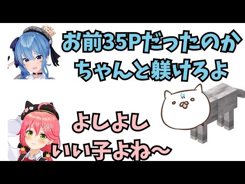 1ブロ生活ですいちゃんからみこちを守る35P【ホロライブ切り抜き】