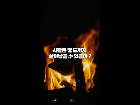 인간의 몸은 최대 몇도까지 버틸 수 있을까 ?