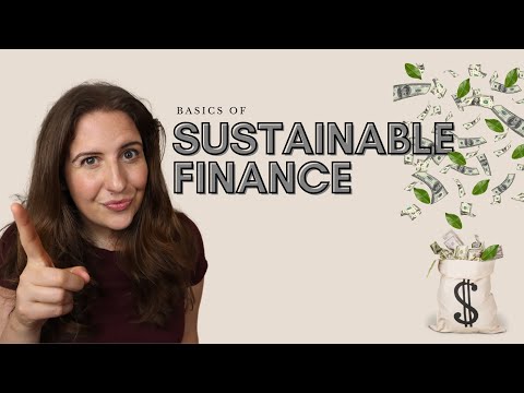 The Basics of Sustainable Finance